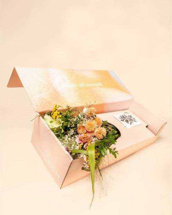 Galerie Rose 2