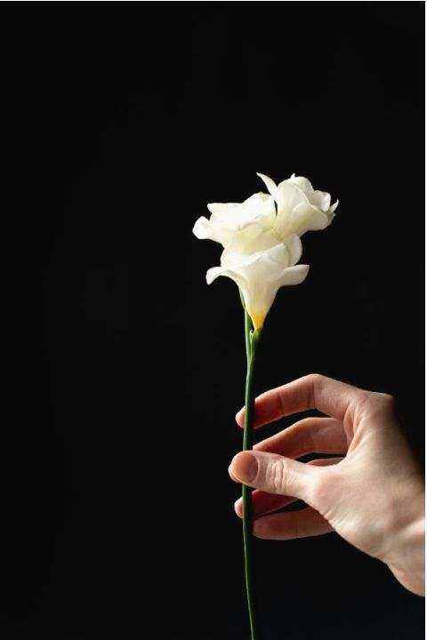 Bouquet 3